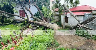 কালবৈশাখিতে কুমিল্লার ১৭ উপজেলার বৈদ্যুতিক সংযোগ ক্ষতিগ্রস্ত